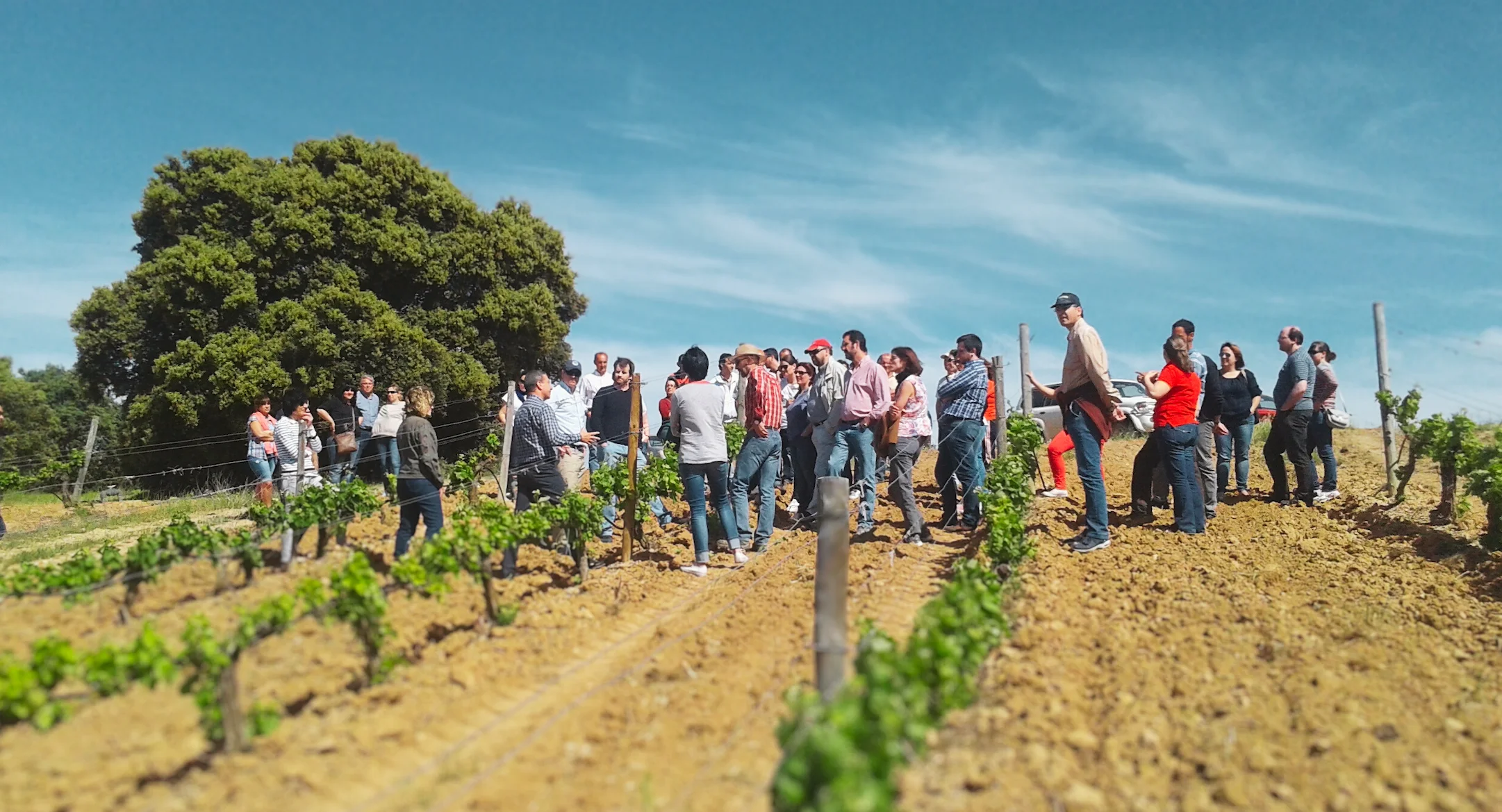 gente en enoturismo en la ribera del duero