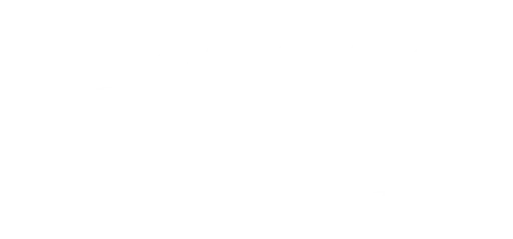 summer vibes logo