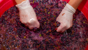 como hacer vino en casa
