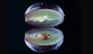 uva vendimia